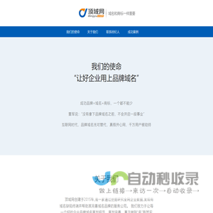 顶域网——让好企业用上品牌域名